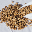 Picture of 100%  Pistachio Paste - Californian Origin - Pure- Medium
