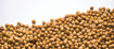 Picture of Huzelnut Cream Fluid 20% (Topping)- Italian Origin -Pure - Medium