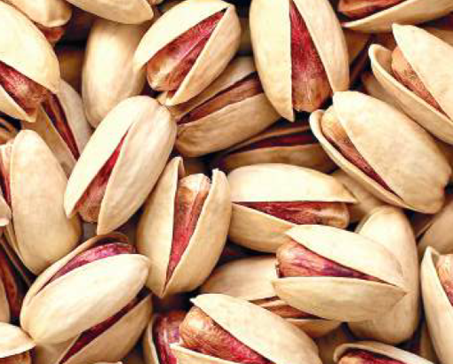 Picture of Natural Inshell Pistachio open- Iranian Origin - Pure - Natural