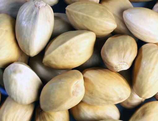 Natural Inshell Pistachio closed - Iranian Origin - Pure - Natural