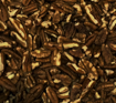 Natural Walnut Amber Quarters various origins