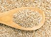 Picture of Sesame 100% pure paste (Tahini)